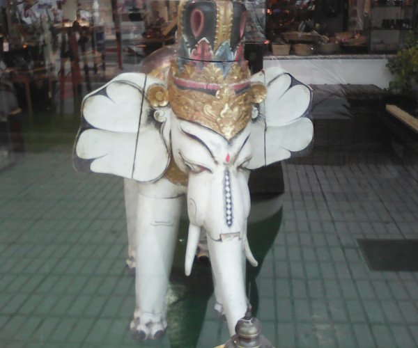 Elefante-1