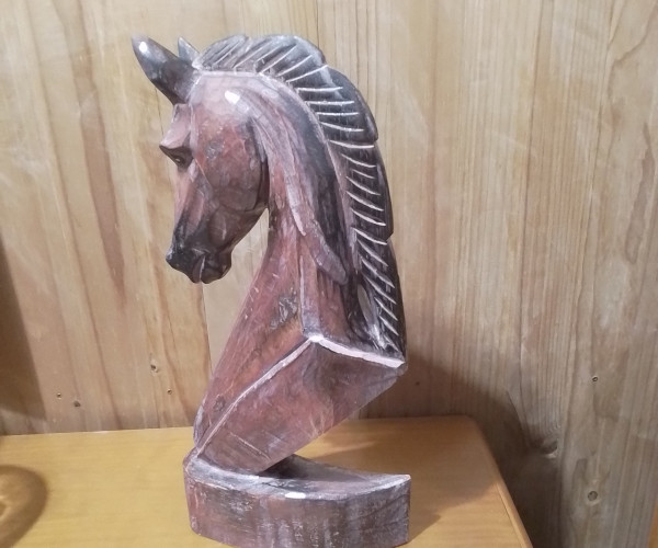 Cabeza caballo-1