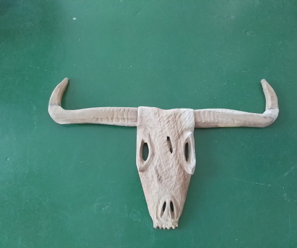 Cabeza de bufalo-1