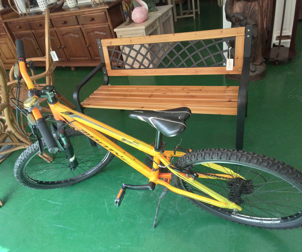 Bicicleta-1