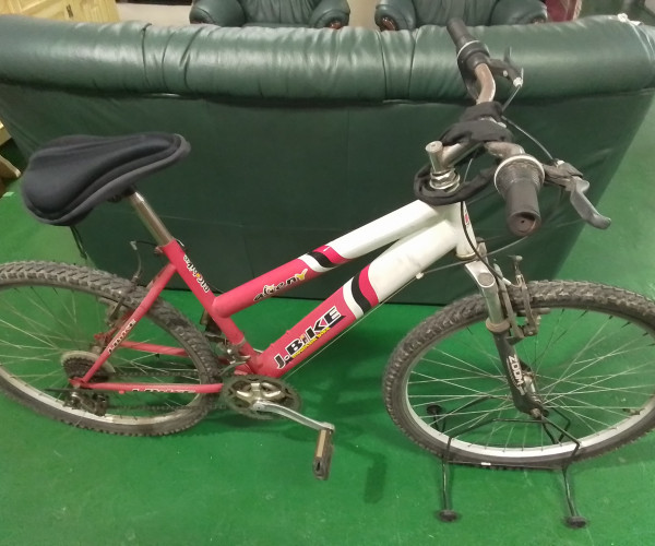 Bicicleta-1